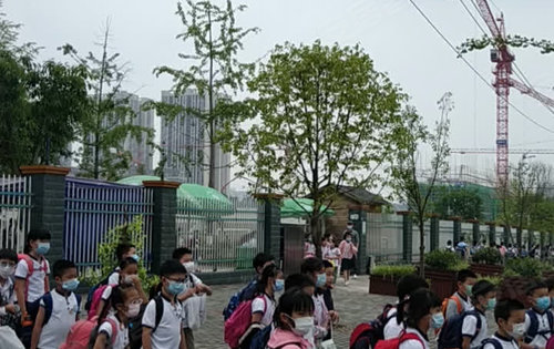 大学城树人小学放学啦气质学风就是不一样