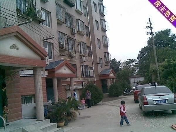 【丁字山建委宿舍 大院停车 双气 送15平地下室