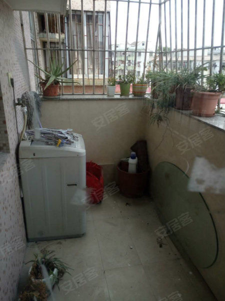 【东城中路天宝农校东区后面,鸭叫尾教育局小