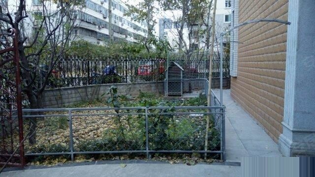 【平阳路 一品嘉园别墅 带小院露台 500平共三