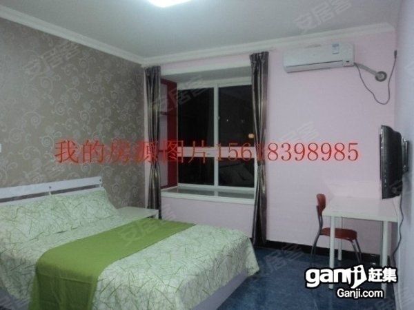 【个人出租金葵大空间采光好壁纸艺术吊灯家电