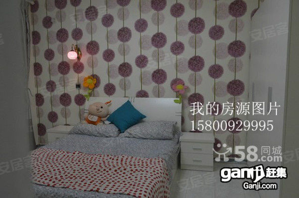 【个人出租金葵大空间采光好壁纸艺术吊灯家电