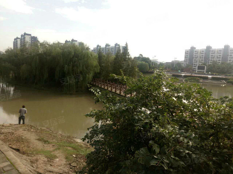 【金泽家园 无锡顾山镇 现房 不限购 不限