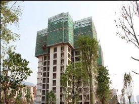 绿城上岛