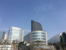滨江六号