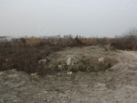 新江湾城D5地块