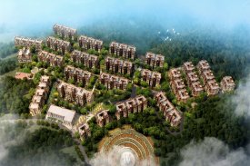 金阳第一农场金佛山
