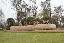 金色时代