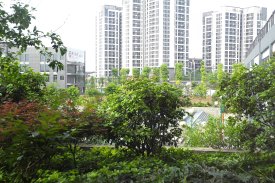东方剑桥柔波里