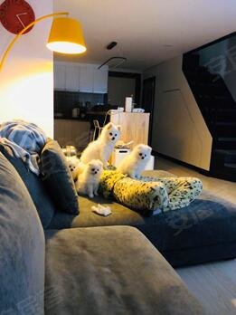 中央公园创客广场 