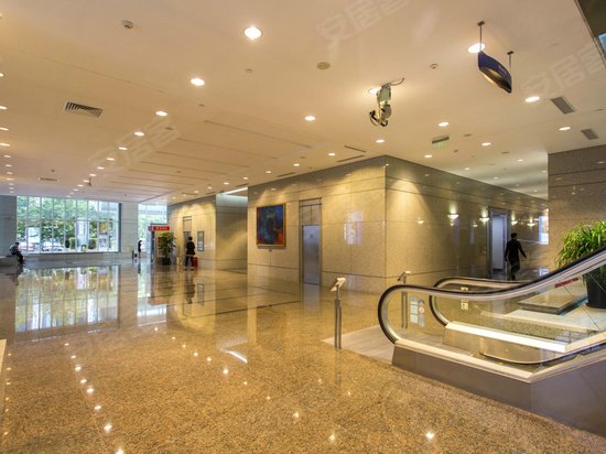 新上海国际大厦 