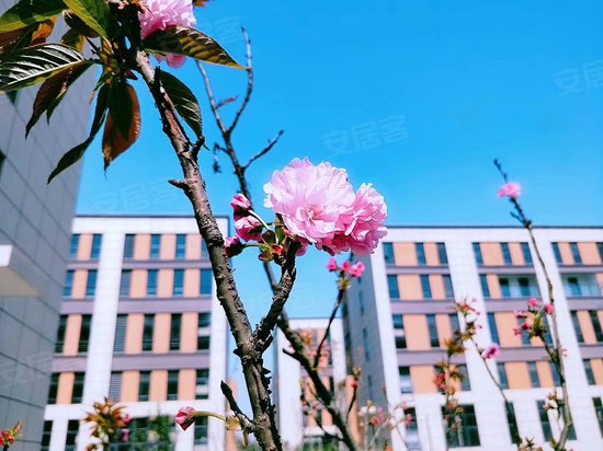 中南高科东西湖科创中心 