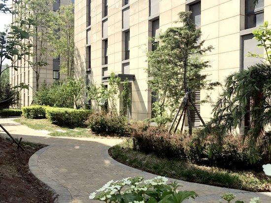 启迪协信科技园