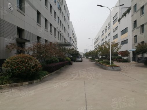 苗桥路455弄园区 