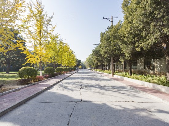 DREAM2049国际文创产业园 