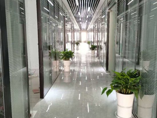 保周跨境电商直播产业园 