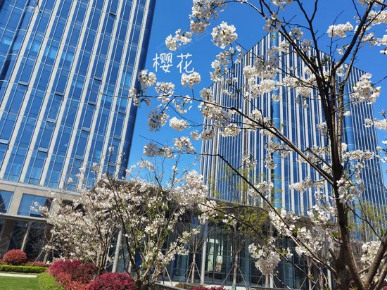 西子智慧产业园 