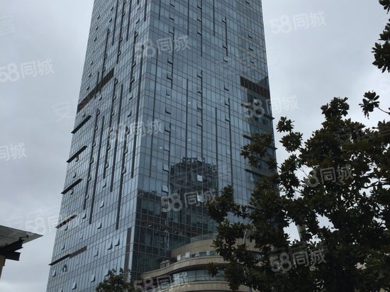 瑞安城中汇(商住楼)