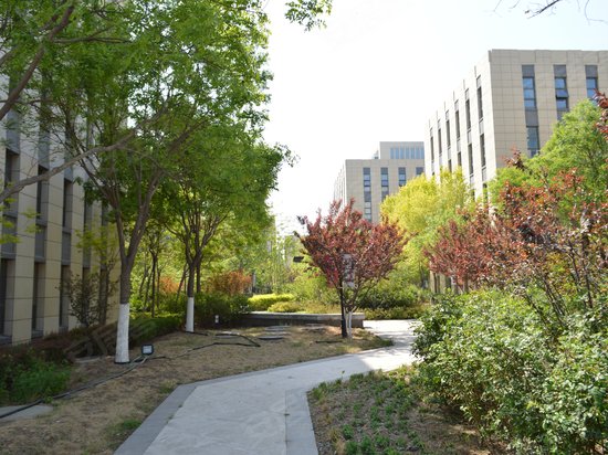 启迪协信科技园 