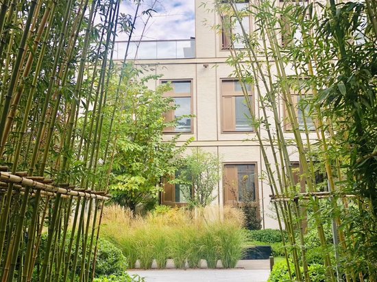 美创国际科技产业园 