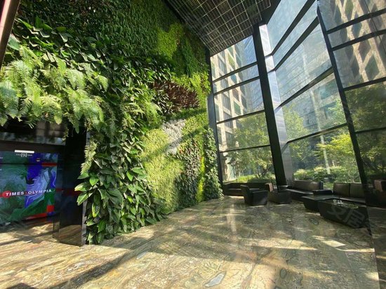 万科时代中心奥林 