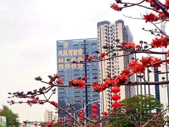 合一凤凰智慧港 