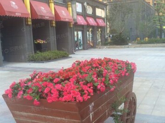 奥山光谷世纪城 