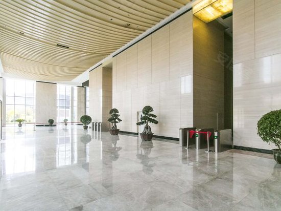 赛顿中心VIP商务广场一号 