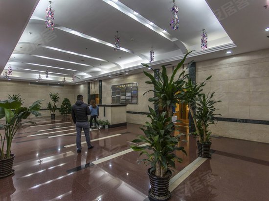 新上海城市广场 