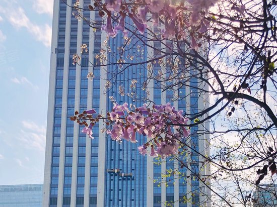 西部文化产业中心 