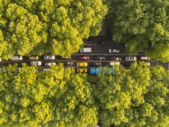 南工院金蝶大学科技园 