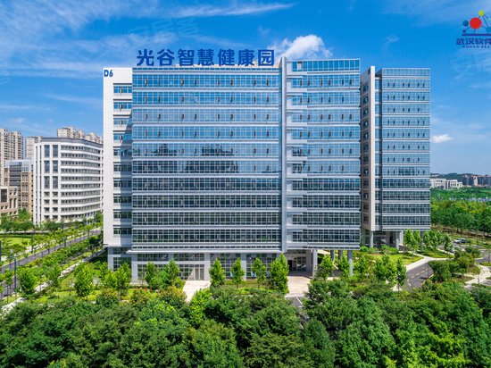 武汉软件新城1期 