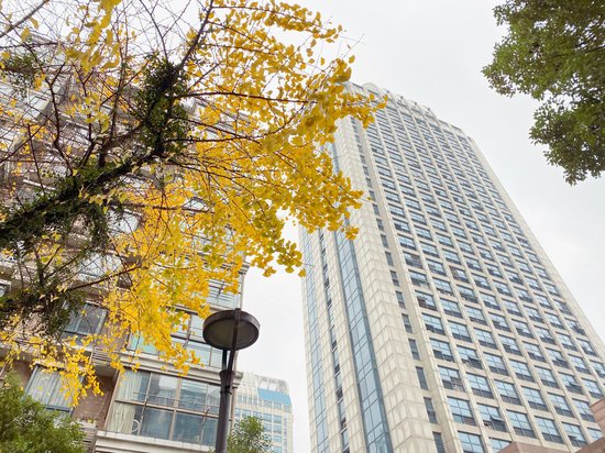 新天地国际商务大楼 