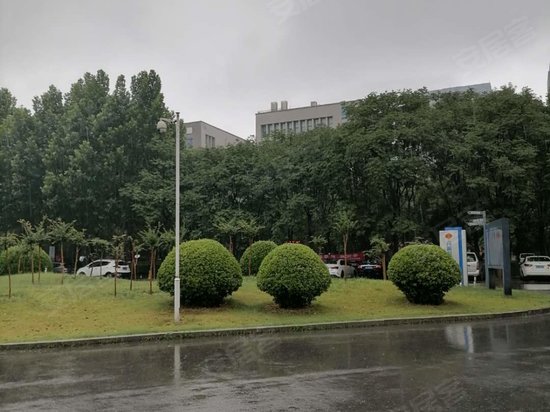 国家大学科技园 