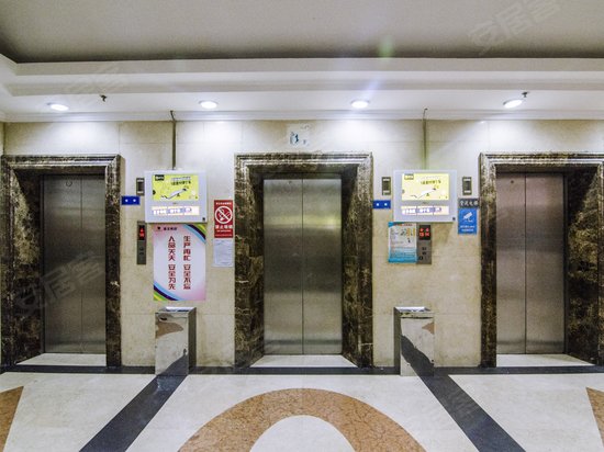 蓝光金色夏威夷 