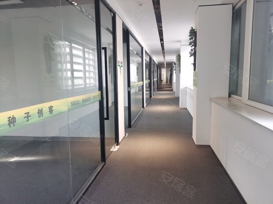 百安居种子创客 