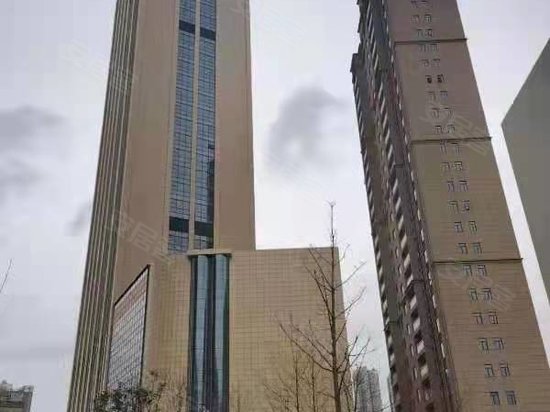 盛景天地盛景国际 