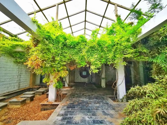 宝蓝郁金香文化科技产业园 