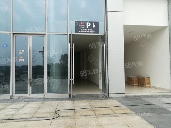 武侯万达广场(商住楼) 