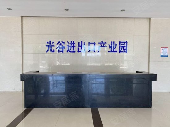 光谷进出口产业园 
