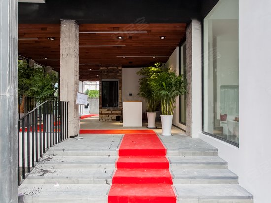 徐汇大树下创意办公 