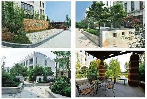 索立得科技社区 