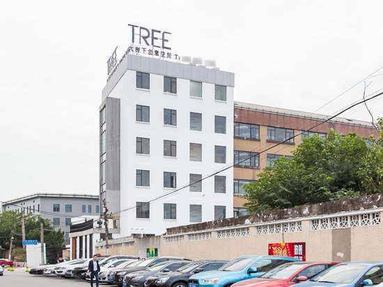 徐汇大树下创意办公