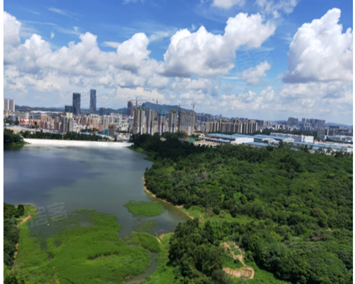 星河World三期F栋 