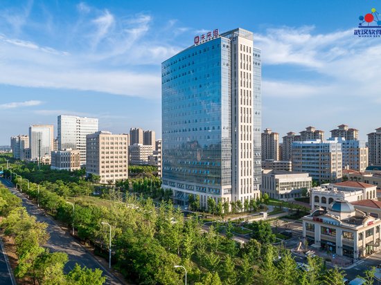 武汉软件新城1期