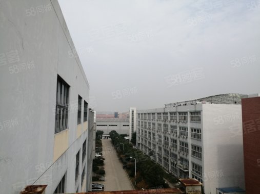 苗桥路455弄园区 