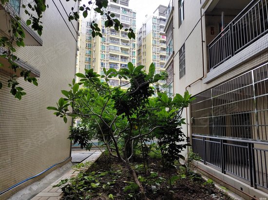 百花艺博广场写字楼 