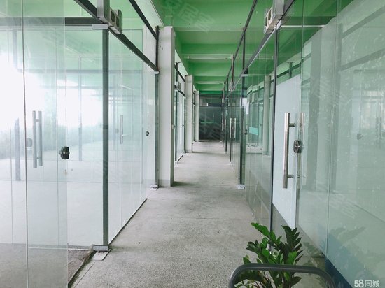 广州星火科技企业孵化器 