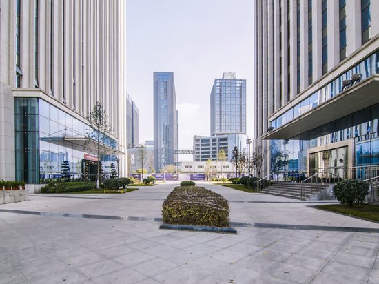 新希望中鼎国际 