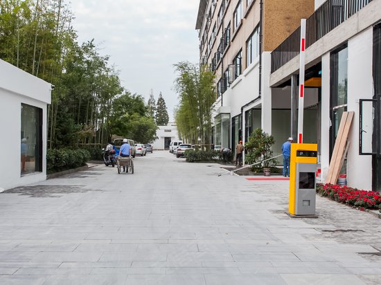 徐汇大树下创意办公 